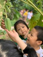 Z2160344688877 8f818b7c45077a642aa54d3b51c75d5e