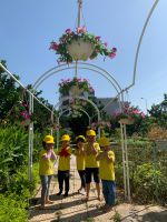 Z2160347914598 8bfd8433acd1d1c7815c3bb477b00219