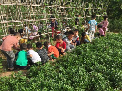 Nắng ấm, trời xanh, thời tiết đẹp cô và các con cùng tham gia hoạt động ngoài trời.