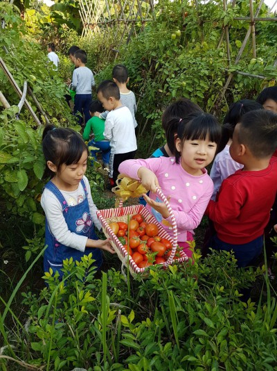Lời nhắn gửi yêu thương của cô dành cho các bé những ngày nghỉ dịch ở nhà.