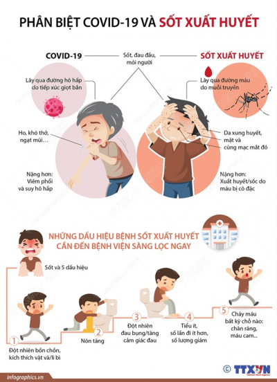 Phân biệt giữa Covid19 và sốt xuất huyết