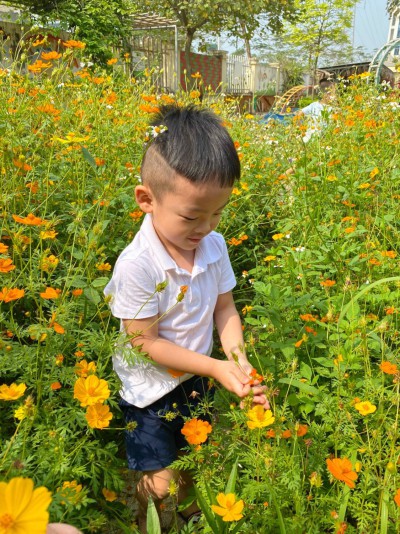 NIỀM VUI TRỞ LẠI