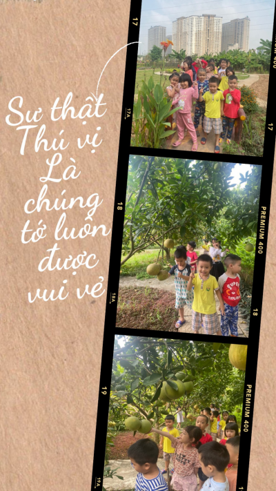 Cùng bé yêu khôn lớn từng ngày tại trường MN Lê Trọng Tấn.